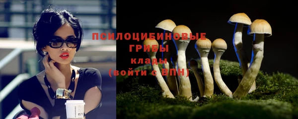 mdpv Алзамай