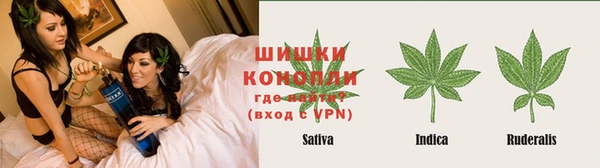 гидра Алексин