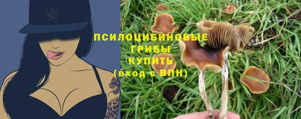 гидра Алексин